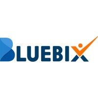 Bluebix Solutions - Recruitment Agency Profile