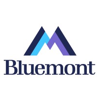 Bluemont Associates - Recruitment Agency Profile