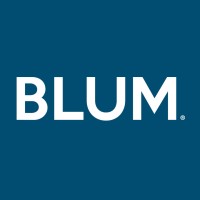 BLUM Desarrollo Organizacional & Comunicación Interna - Recruitment Agency Profile