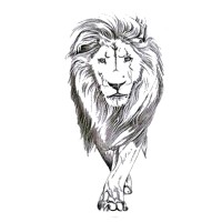 Brainwave Optigrators LLC - Recruitment Agency Profile