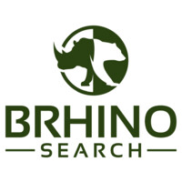 Brhino Search - Recruitment Agency Profile
