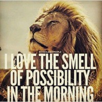 Brilliant 1 Solutions, Inc - Recruitment Agency Profile