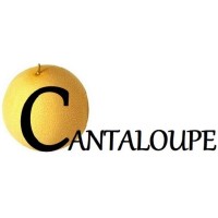 Cantaloupe HR Solutions Pvt Ltd - Recruitment Agency Profile