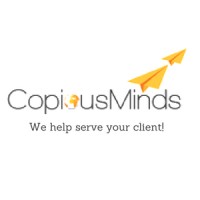 CopiousMinds Pvt.Ltd. - Recruitment Agency Profile