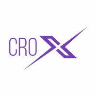 Crox Consulting Inc - Recruitment Agency Profile