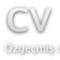 CV Örnekleri - Recruitment Agency Profile