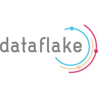 Dataflake LLC - Recruitment Agency Profile