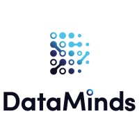 DataMinds - Recruitment Agency Profile