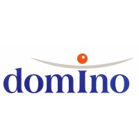 Domino Polska Sp. z o.o. - Recruitment Agency Profile