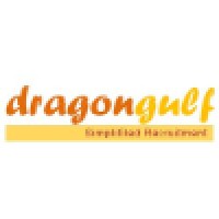 DragonGulf - Recruitment Agency Profile