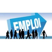 emplois - Recruitment Agency Profile