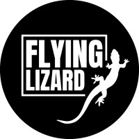 Flying Lizard - Recruitment Agency Profile