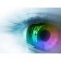 Insight Export & Placement Services (IEPS) - Recruitment Agency Profile