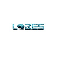 Lobes Business Solutions Private Limited - Recruitment Agency Profile