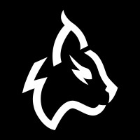 LYNX Recruitment - Recruitment Agency Profile
