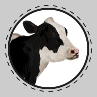 Muuwho - Recruitment Agency Profile