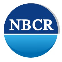 NBCR Rekrutacja IT Sp. z o.o. - Recruitment Agency Profile