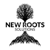 New Roots Solutions LLC - Recruitment Agency Profile