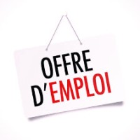Offre d'emploi - Recruitment Agency Profile