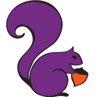Purple Squirrel Staffing - Recruitment Agency Profile