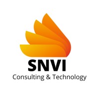 SNVI - Consulting & Technology - Recruitment Agency Profile