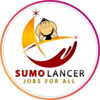 Sumo lancer - Recruitment Agency Profile