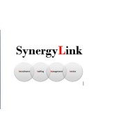 Synergy Link Placement Service - Recruitment Agency Profile
