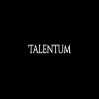 Talentum - Recruitment Agency Profile