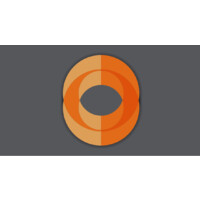 The Staffing Experts - Recruitment Agency Profile