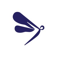 The Svidy - Recruitment Agency Profile