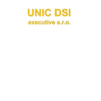 UNIC DSI executive s.r.o. - Recruitment Agency Profile