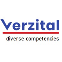 Verzital Consulting - Recruitment Agency Profile