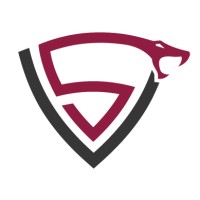 Viper Search - Recruitment Agency Profile