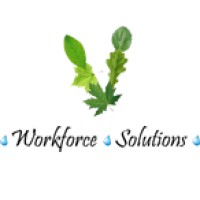 Workforce Solutions (WFS) - Recruitment Agency Profile