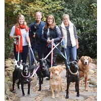 4 Paws Recruiting, LLC - Recruitment Agency Profile