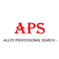 Alloy Professional Search - Recruitment Agency Profile
