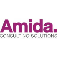 Amida Consulting Solutions - Recruitment Agency Profile