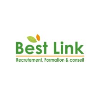 Best Link Consulting - Recruitment Agency Profile