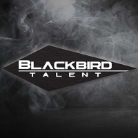 Blackbird Talent - Recruitment Agency Profile