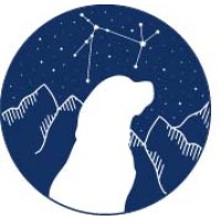 Blaze Search - Recruitment Agency Profile