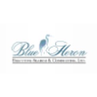 Blue Heron Executive Search and Consulting - Recruitment Agency Profile