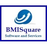 BMISquare Software and Services - Recruitment Agency Profile