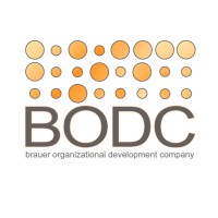 Brauer Organizational Development Company - Recruitment Agency Profile