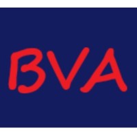 Broadview Associates G.K. - Recruitment Agency Profile