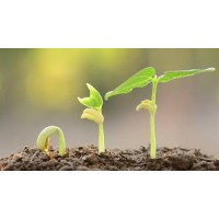 CDF Recruiting Solutions - Recruitment Agency Profile