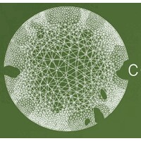 Conscious Search - Recruitment Agency Profile