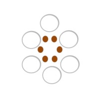 DENT STAFFING - Recruitment Agency Profile