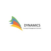 Dynamics Chile - Recruitment Agency Profile