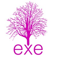 exe resource - Recruitment Agency Profile