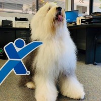 Express Employment Professionals - Richmond, CA - Recruitment Agency Profile